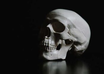 [학술]30만년 전 미지의 신인류 발견?