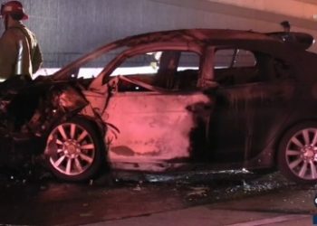 91번 Fwy 역주행 테슬라, 승용차 충돌…운전자 2명 모두 사망