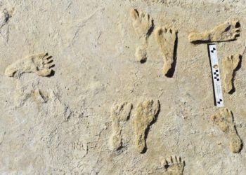 [학술]”2만 2000년전 발자국” … 아메리카 최고 인류흔적 확인