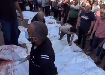 이스라엘 무차별폭격 시신 넘쳐..안치할 곳도 없어(영상)