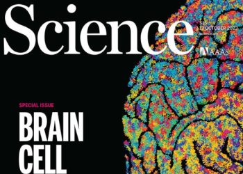 “우주지도 만드는 것”…역대 최대 ‘뇌 지도’ 공개