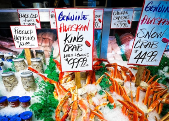 알래스카 대게 수십억 마리 사라져..굶어 죽는 대게들