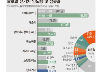비야디, 테슬라 제치고 전기차 점유율 1위