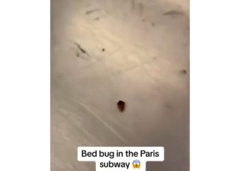 ‘빈대 창궐’ 프랑스 파리…빈대 패닉 확산(영상)