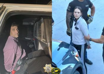 ‘장인, 장모 총격 살해 ‘ 체포 전 메이저리그 투수에 미 전국 ‘발칵’