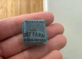 마리화나 캔디 나눠 준 정신 나간 초등학교