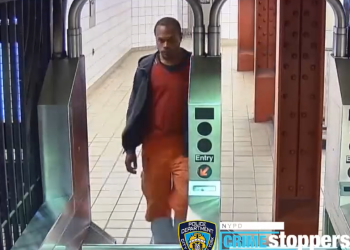 무서운 뉴욕 지하철…선로에서 여성 밀쳐 중태(영상)