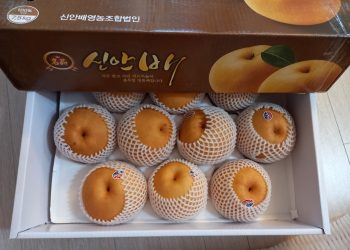 해풍 맞고 자란 ‘명품 신안배’ 400톤 LA 온다