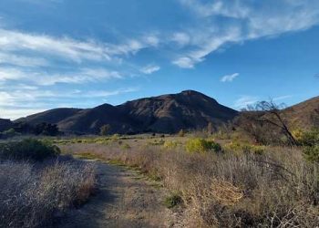 벤추라 카운티 등산객 발견 유해, 신원 밝혀져