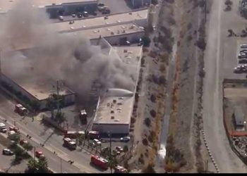 “사망자 없다”던 어윈데일 화재, 나흘 만에 시신 4구 뒤늦게 발견