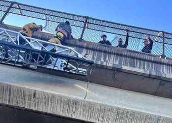 210번 프리웨이 위 고가도로서 투신 자살 소동