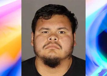 글렌데일 축구 코치, 초등생 상대 음란행위