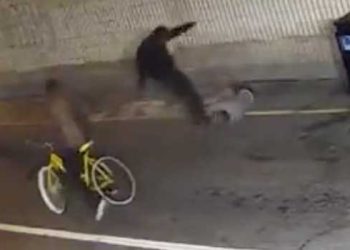 LA 베니스 지역 무차별 폭행, 카메라에 포착(영상)