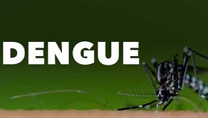 롱비치서 첫 뎅기열 환자…모기 각별히 주의해야