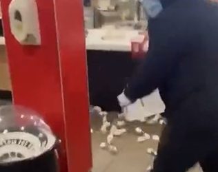 맥도날드 잇단 ‘쥐떼 테러’…스타벅스도 노리나?(영상)