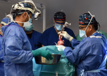 돼지심장 이식 받은 환자 6주 만에 사망  “거부 반응 때문에”