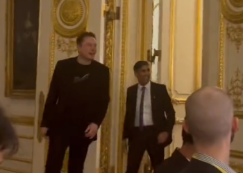 머스크 “AI, 역사상 가장 파괴적인 힘…직업 없는 세상 만들 것”(영상)