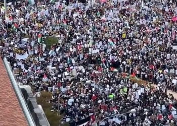 LA-DC-베를린-런던-파리 등 세계 곳곳 가자폭격 중단 대규모 시위(영상)