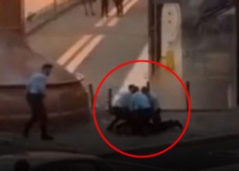 석류 먹으려다 테러범 몰려 체포…번역기탓