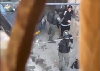 가자 점령 수개월 걸려도 힘들어…팔 국가창설 유일해법