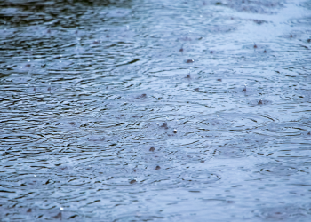 LA 수요일부터 비 올 확률 100%…최대 6인치 많은 비