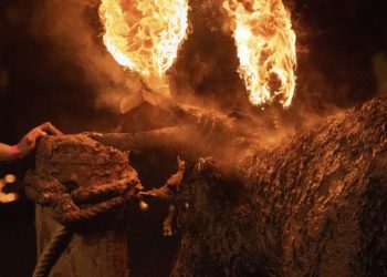 뿔에 불붙은 황소의 몸부림…학대 논란(영상)