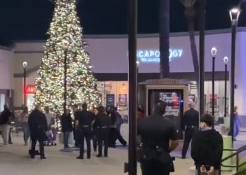 노스리지 패션센터 총격전…10대 6명 체포(영상)