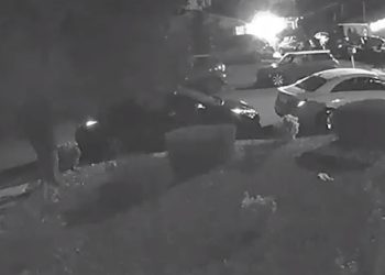 블프 쇼핑 간 새 25만 달러 핸드백-보석 무더기 훔쳐가