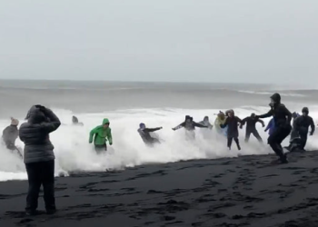 인증샷 찍다 파도 휩쓸려…무개념 관광객 사망 사고 잇따라