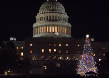 [사진]워싱턴 연방 의사당 크리스마스 트리 점등식(영상)