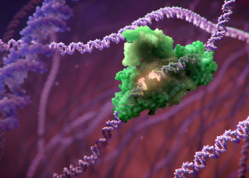 세계 최초 유전자편집 기술이용 치료 승인