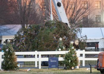 강풍에 ‘풀썩’ 쓰러진 백악관 크리스마스트리(영상)