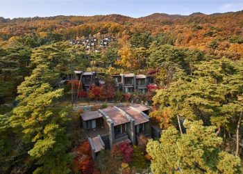 한국에 이런 곳이?…리솜 리조트서 누리는 가을의 절정