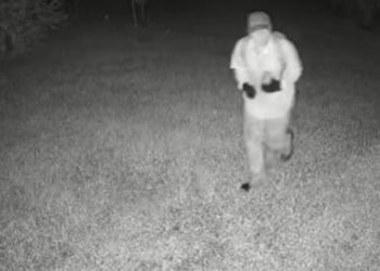 텍사스 불교 사찰에 화염병 투척 방화…경찰 추적 중