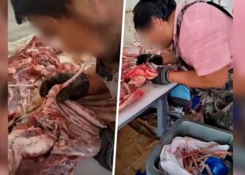 “양고기를 입으로 손질”…또 불거진 중국 ‘위생 논란’