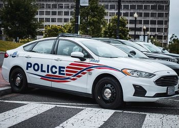 ‘겁 없는’ 13살소년, 경찰차 강탈하려다 총 맞고 숨져