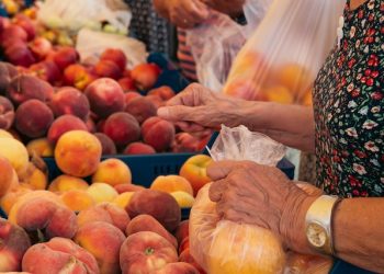 CDC, 리스테리아 식중독 경보 “복숭아 ·플럼류 주의”