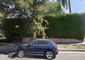 가지치기 하던 LA 정원사, 작업 중 감전사