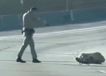 CHP 경관, 105번 프리웨이 보행자 사살…과잉대응 논란(영상)