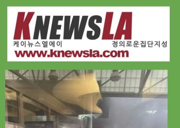 [케이뉴스 전자신문] 2023년 11월 22일 수요일