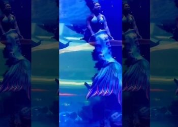 익사 위기 빠진 인어…꼬리 벗어던지고 탈출(영상)