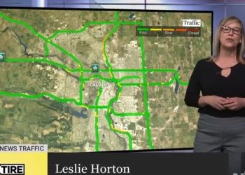 “임신했냐” 조롱 받은 기상캐스터 “”암으로 자궁 제거했다”