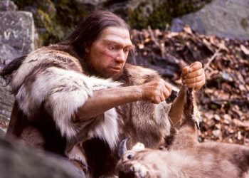 “‘아침형 인간’에겐 네안데르탈인 유전자가 있다”