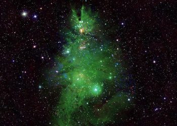 2500광년 떨어진 크리스마스 트리 성단 발견