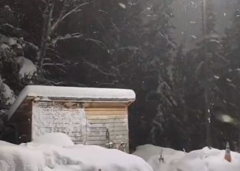 앵커리지 대형 눈사태 Fwy 전면 폐쇄