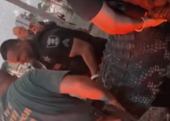 쇼핑몰서 길이 3m·무게 270㎏ 악어 포획(영상)