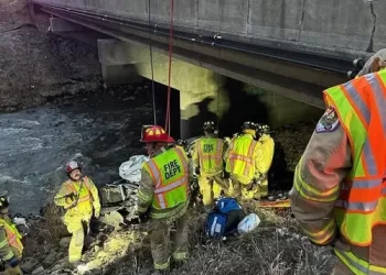 프리웨이 추락 트럭 갇혀 6일 만에 구출..”시신인 줄”
