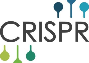 1회 치료비 220만달러…’유전자가위’ 치료제, FDA 승인