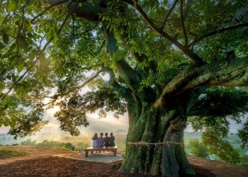 [여행] “지금, 한국을 여행해”