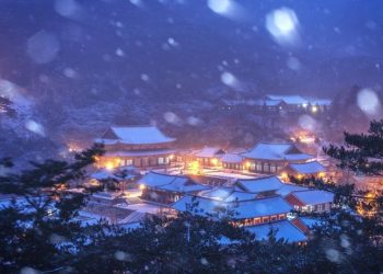 화엄사의 겨울동화·얼어붙은 강화갯골…한국에 이런 설경이?(화보)